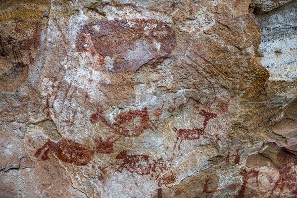 Rock art painting at Pedra Furada