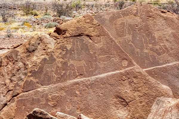 Rock engravings