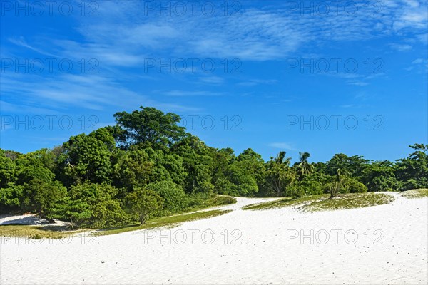 White sand dunes covered by vegetation in the famous Lagoa do Abaete in Salvador in Bahia