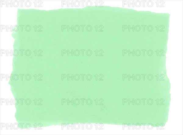 Green blank paper parchment label isolated over white