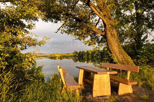 The Great Roetelsee Pond in the Roetelseeweiher bird sanctuary in the evening at golden hour. In the foreground a table and two benches to take a break by the lake. Cham