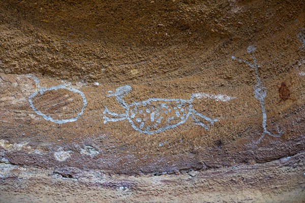 Rock art painting at Pedra Furada