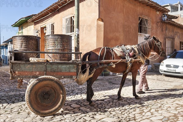 Horse cart