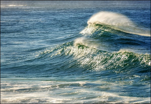 Wave breaking at dawn with sun reflections on the water at Ipanema beach in Rio de Janeiro