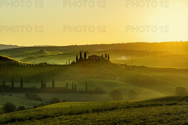 Farmhouse and cypresses