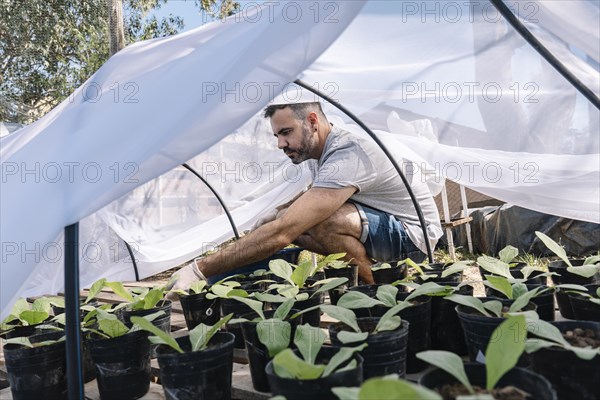 Scientist studying the association with mycorrhizae and pollination of