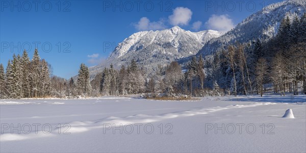 Marsh pond near Oberstdorf