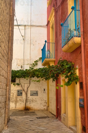 Alley in Polignano a Mare