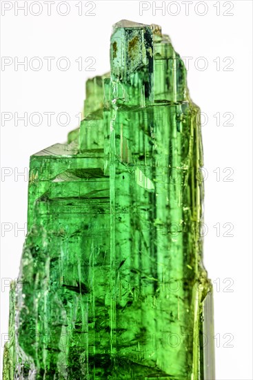 Brazilian green tourmaline raw crystal with white background