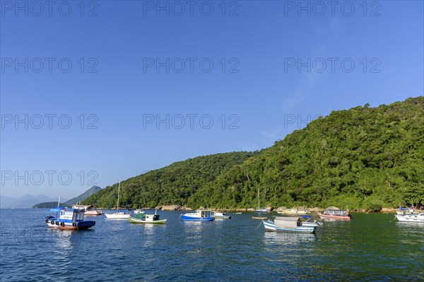 Fishing boats floating on calm waters in Ilha Grande bay in Angra dos Reis with the rainforest and hills in the background