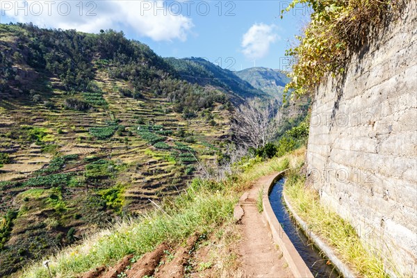 Hiking trail along the Levada Nova Hike hiking on Madeira Island