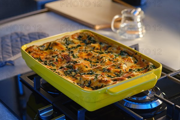 Traditional homemade lasagna in ceramic baking casserole