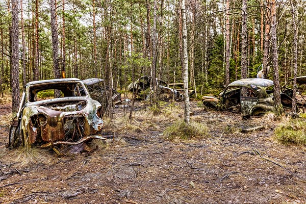 Car graveyard in the middle of the forest near Ryd
