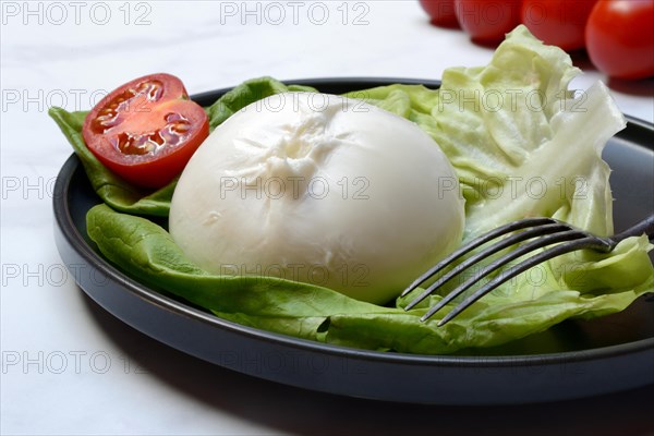 Burrata