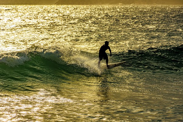 Surfer on the waves of Ipanema beach in Rio de Janeiro during sunset in summer