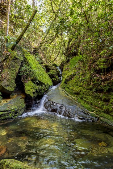 Small stream with water running between the mossy rocks and rain forest vegetation in Carrancas in the state of Minas Gerais
