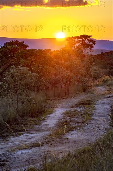 Small dirt road through the hills and native vegetation of Carrancas forest in Minas Gerais