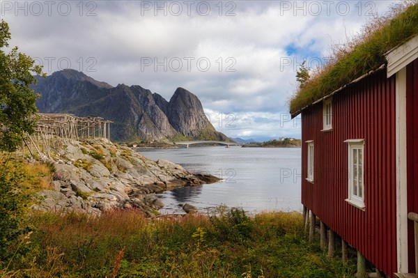 Drying racks for fish and traditional red rorbuer huts in the fishing village of Reine