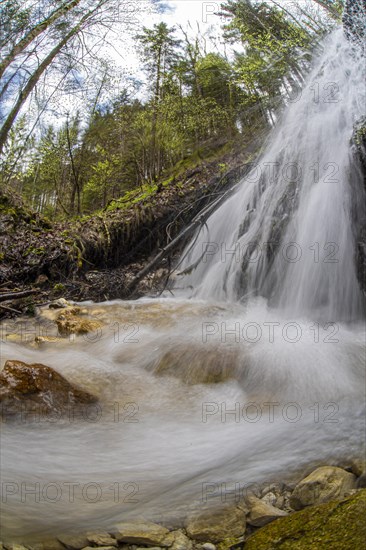 Forest stream with waterfall in the UNESCO World Heritage Beech Forest in the Limestone Alps National Park