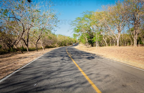 View of a paved road surrounded by trees at sunset. Concrete road surrounded by trees and branches. Asphalt road surrounded by trees with a bus on the road