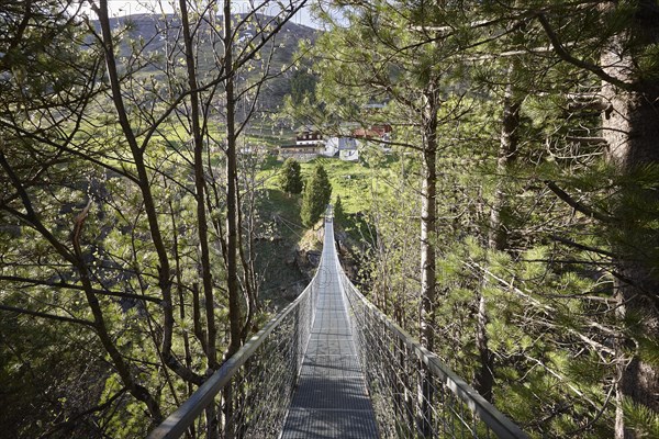 Suspension bridge