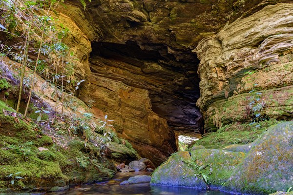 Stone cave interior with small river and lake surrounded by vegetation of Brazilian jungle