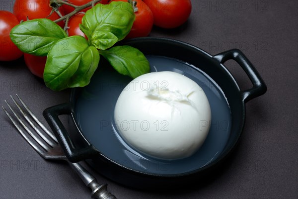 Burrata