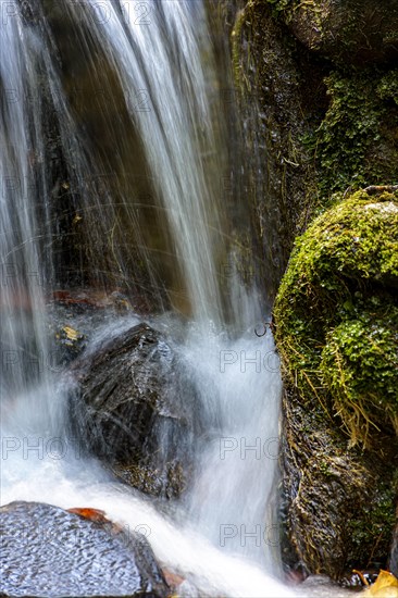 Small stream and waterfall among the moss