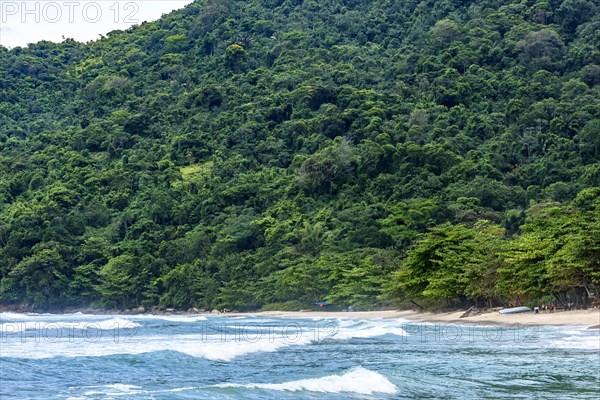 Beautiful paradise beach surrounded by rainforest in Trindade