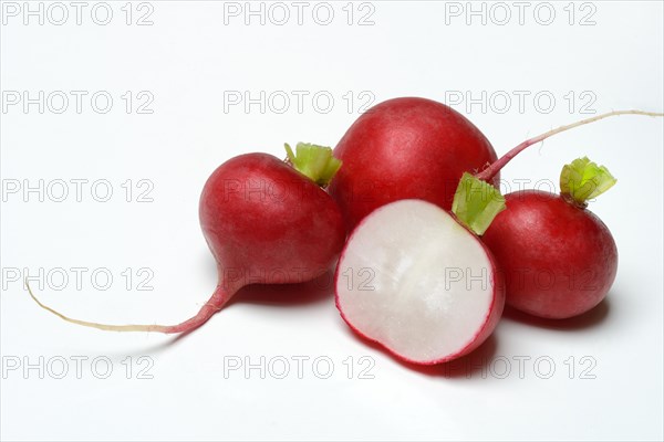 Radish