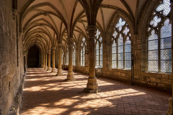 Cloister in the Imperial Walkenried Cistercian Abbey