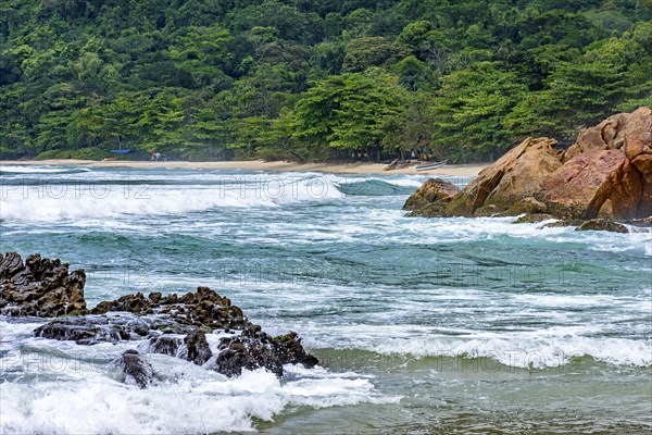 Stunning beach surrounded by rainforest in Trindade