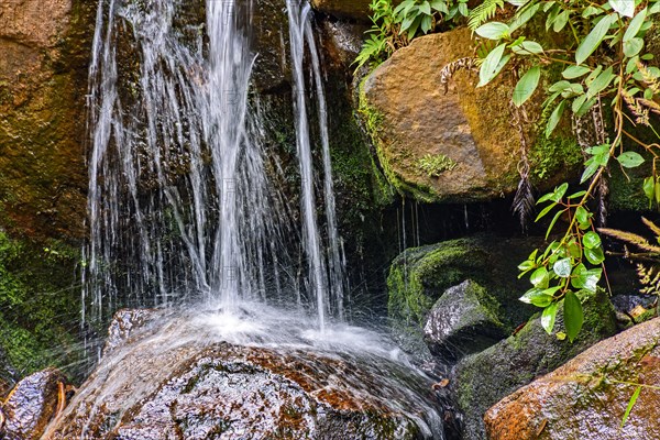 Small waterfall with waters running between mossy rocks and vegetation