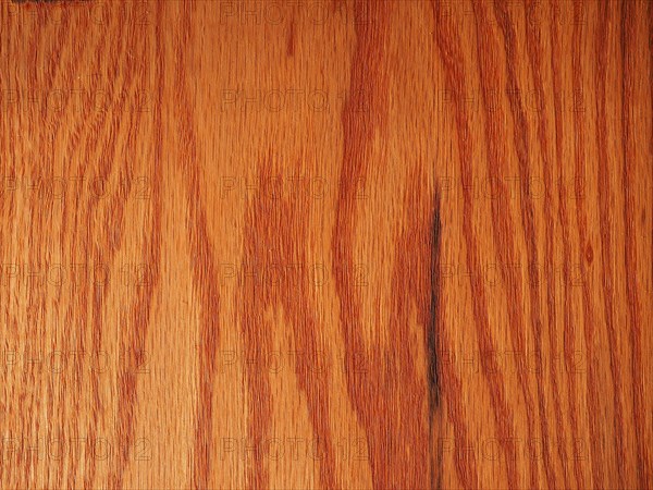 Red oak wood background