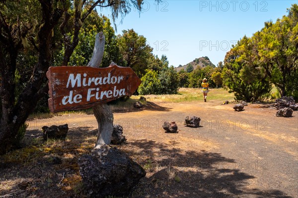 Mountaineer heading to the Fireba Volcano of La Llania park in El Hierro