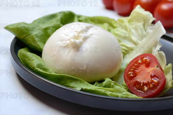 Burrata