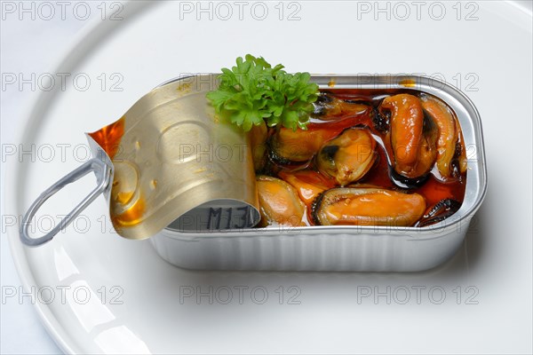 Mussels