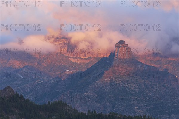 Pink evening light