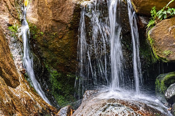 Small waterfall with waters running between rocks and vegetation