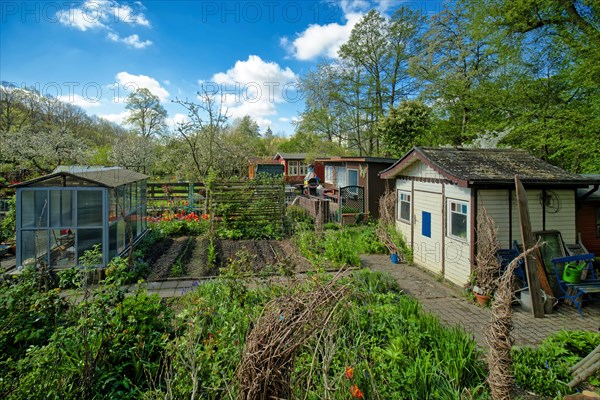 Allotment garden