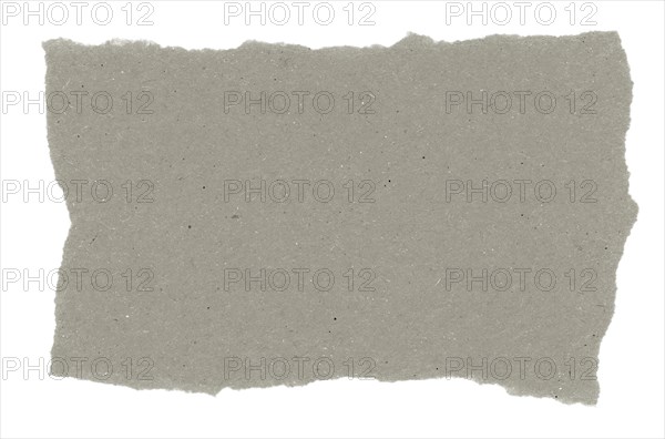 Gray blank paper parchment label isolated over white