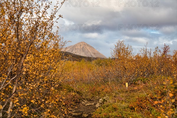 Volcanic landscape in autumn near Myvatn