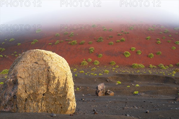 Lava bomb in front of Caldera Colorada