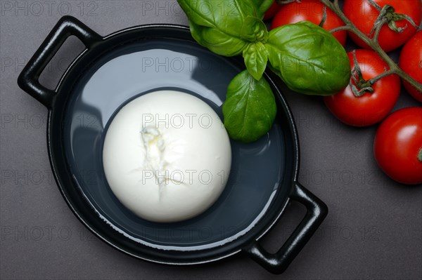 Burrata