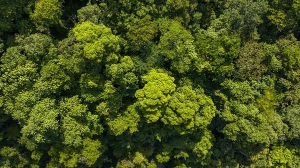 Aerial of the Unesco site Atlantic Forest South-East Reserves