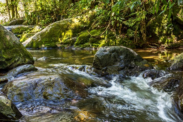 Stream running through the rocks and vegetation of the rainforest in Itatiaia in the state of Rio de Janeiro
