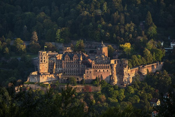 Heidelberg Castle at the golden hour