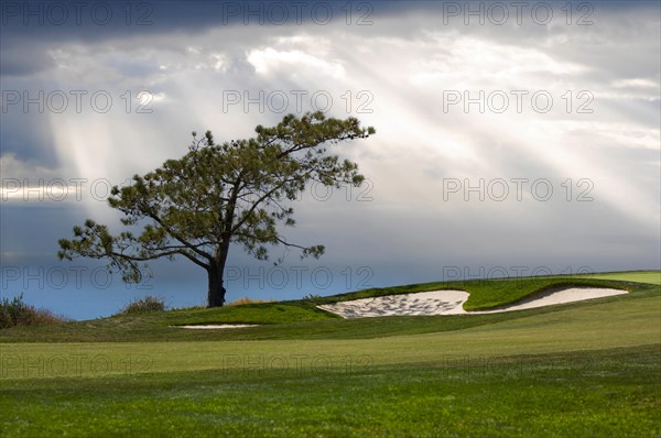 View over the pacific ocean from torrey pines golf course