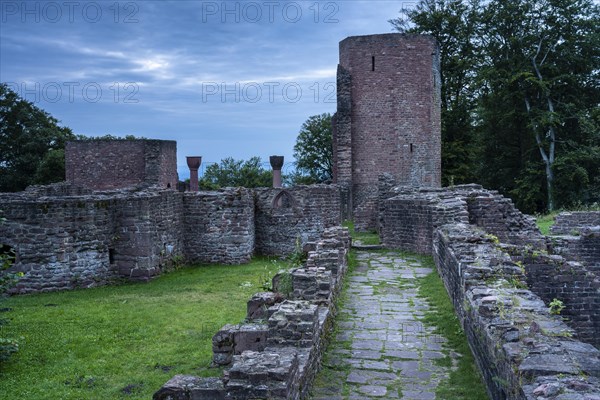 Ruins of St. Michael's Monastery