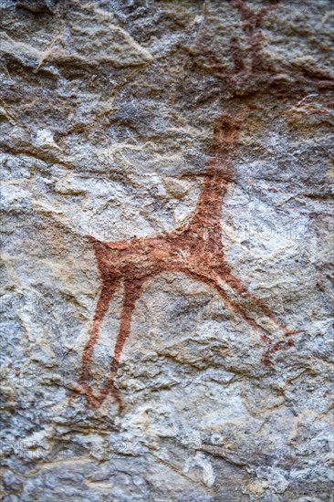 Rock art painting at Pedra Furada